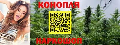 стафф Боровичи