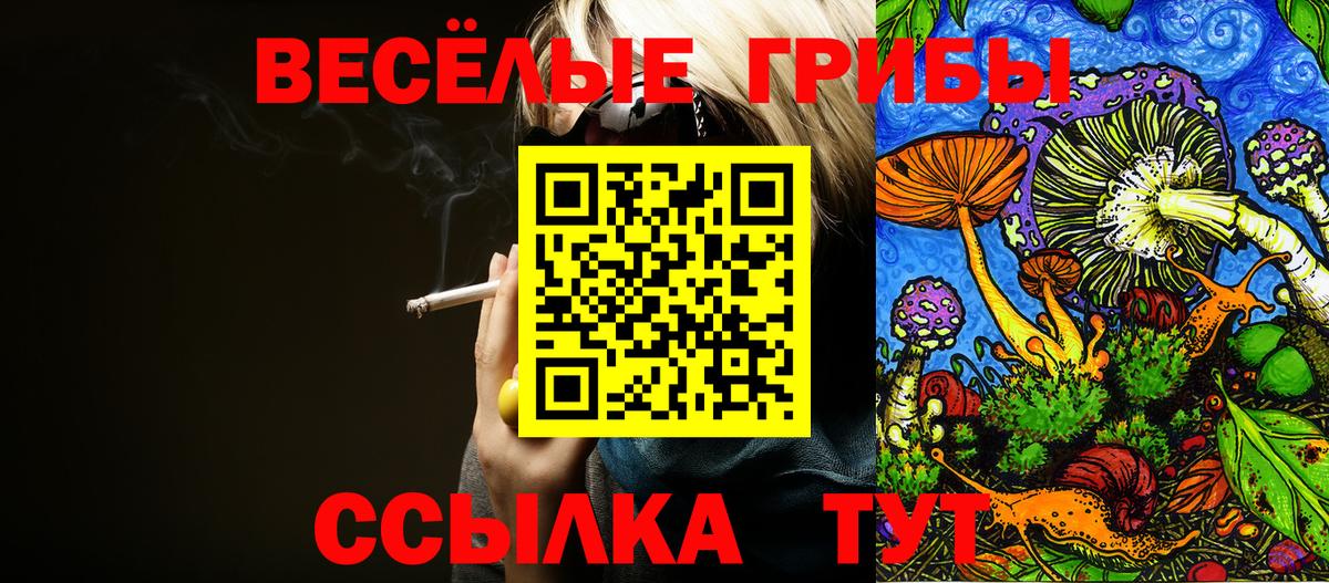 Галлюциногенные грибы MAGIC MUSHROOMS  что такое наркотик  Псилоцибиновые грибы ЛСД  Бузулук  Вход с VPN 